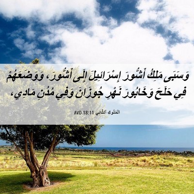 Picture 06 - اَلْمُلُوكِ ٱلثَّانِي 18:11 AVD - وَسَبَى مَلِكُ أَشُّورَ - Bible Verse Picture