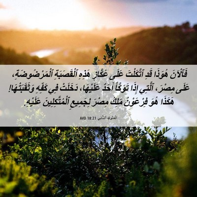 Picture 06 - اَلْمُلُوكِ ٱلثَّانِي 18:21 AVD - فَٱلْآنَ هُوَذَا قَدِ - Bible Verse Picture