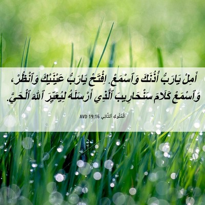 Picture 06 - اَلْمُلُوكِ ٱلثَّانِي 19:16 AVD - أَمِلْ يَارَبُّ أُذُنَكَ - Bible Verse Picture