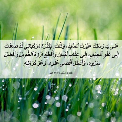 Picture 06 - اَلْمُلُوكِ ٱلثَّانِي 19:23 AVD - عَلَى يَدِ رُسُلِكَ - Bible Verse Picture