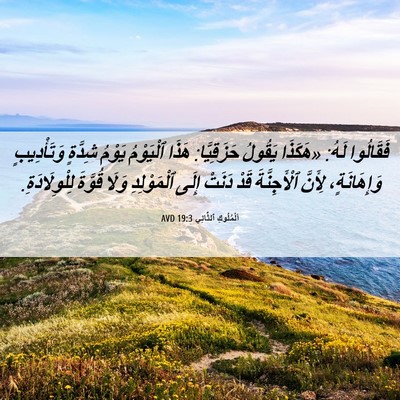 Picture 06 - اَلْمُلُوكِ ٱلثَّانِي 19:3 AVD - فَقَالُوا لَهُ: «هَكَذَا - Bible Verse Picture