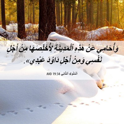Picture 06 - اَلْمُلُوكِ ٱلثَّانِي 19:34 AVD - وَأُحَامِي عَنْ هَذِهِ - Bible Verse Picture