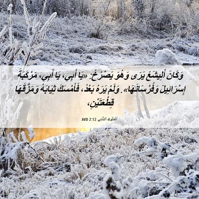Picture 06 - اَلْمُلُوكِ ٱلثَّانِي 2:12 AVD - وَكَانَ أَلِيشَعُ يَرَى - Bible Verse Picture