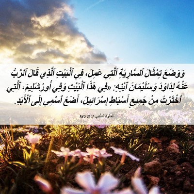 Picture 06 - اَلْمُلُوكِ ٱلثَّانِي 21:7 AVD - وَوَضَعَ تِمْثَالَ - Bible Verse Picture