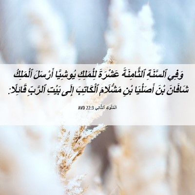 Picture 06 - اَلْمُلُوكِ ٱلثَّانِي 22:3 AVD - وَفِي ٱلسَّنَةِ - Bible Verse Picture