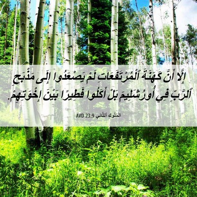 Picture 06 - اَلْمُلُوكِ ٱلثَّانِي 23:9 AVD - إِلَّا أَنَّ كَهَنَةَ - Bible Verse Picture