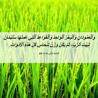 Picture 06 - اَلْمُلُوكِ ٱلثَّانِي 25:16 AVD - وَٱلْعَمُودَانِ - Bible Verse Picture