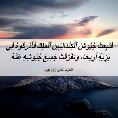 Picture 06 - اَلْمُلُوكِ ٱلثَّانِي 25:5 AVD - فَتَبِعَتْ جُيُوشُ - Bible Verse Picture