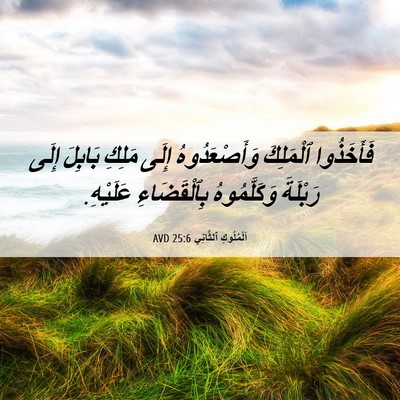 Picture 06 - اَلْمُلُوكِ ٱلثَّانِي 25:6 AVD - فَأَخَذُوا ٱلْمَلِكَ - Bible Verse Picture