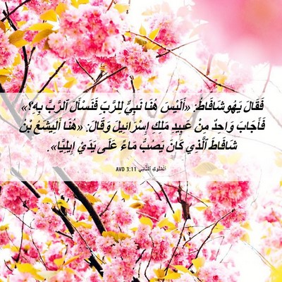 Picture 06 - اَلْمُلُوكِ ٱلثَّانِي 3:11 AVD - فَقَالَ يَهُوشَافَاطُ: - Bible Verse Picture