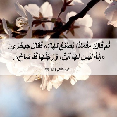 Picture 06 - اَلْمُلُوكِ ٱلثَّانِي 4:14 AVD - ثُمَّ قَالَ: «فَمَاذَا - Bible Verse Picture