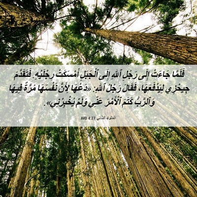 Picture 06 - اَلْمُلُوكِ ٱلثَّانِي 4:27 AVD - فَلَمَّا جَاءَتْ إِلَى - Bible Verse Picture