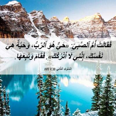 Picture 06 - اَلْمُلُوكِ ٱلثَّانِي 4:30 AVD - فَقَالَتْ أُمُّ - Bible Verse Picture
