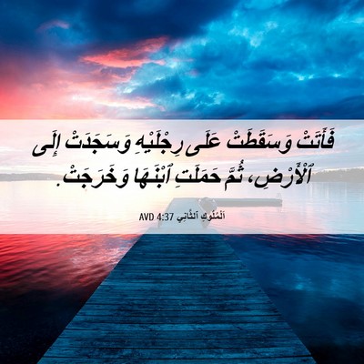 Picture 06 - اَلْمُلُوكِ ٱلثَّانِي 4:37 AVD - فَأَتَتْ وَسَقَطَتْ عَلَى - Bible Verse Picture