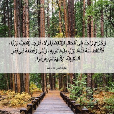 Picture 06 - اَلْمُلُوكِ ٱلثَّانِي 4:39 AVD - وَخَرَجَ وَاحِدٌ إِلَى - Bible Verse Picture