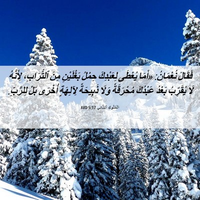 Picture 06 - اَلْمُلُوكِ ٱلثَّانِي 5:17 AVD - فَقَالَ نُعْمَانُ: «أَمَا - Bible Verse Picture
