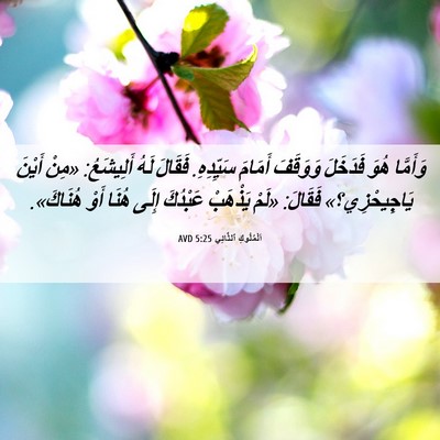 Picture 06 - اَلْمُلُوكِ ٱلثَّانِي 5:25 AVD - وَأَمَّا هُوَ فَدَخَلَ - Bible Verse Picture