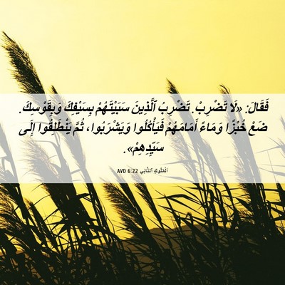 Picture 06 - اَلْمُلُوكِ ٱلثَّانِي 6:22 AVD - فَقَالَ: «لَا تَضْرِبْ. - Bible Verse Picture
