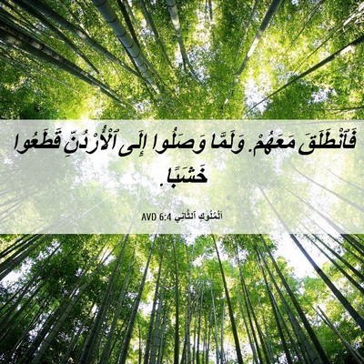 Picture 06 - اَلْمُلُوكِ ٱلثَّانِي 6:4 AVD - فَٱنْطَلَقَ مَعَهُمْ. - Bible Verse Picture