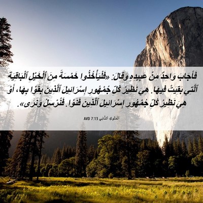 Picture 06 - اَلْمُلُوكِ ٱلثَّانِي 7:13 AVD - فَأَجَابَ وَاحِدٌ مِنْ - Bible Verse Picture