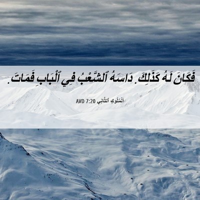 Picture 06 - اَلْمُلُوكِ ٱلثَّانِي 7:20 AVD - فَكَانَ لَهُ كَذَلِكَ. - Bible Verse Picture