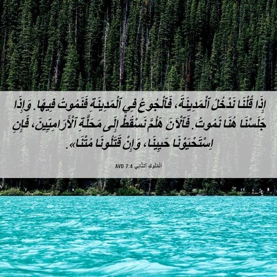 Picture 06 - اَلْمُلُوكِ ٱلثَّانِي 7:4 AVD - إِذَا قُلْنَا نَدْخُلُ - Bible Verse Picture