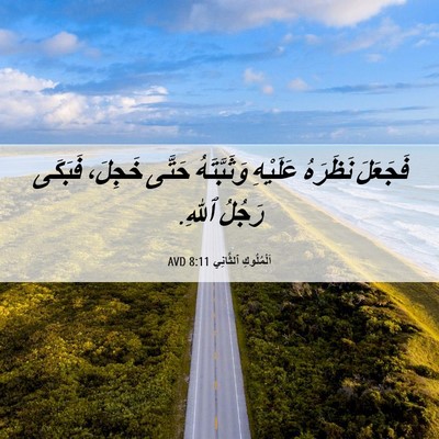 Picture 06 - اَلْمُلُوكِ ٱلثَّانِي 8:11 AVD - فَجَعَلَ نَظَرَهُ - Bible Verse Picture