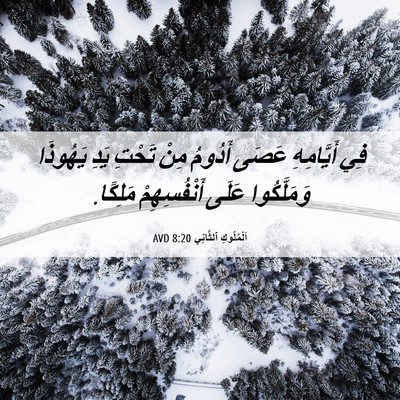Picture 06 - اَلْمُلُوكِ ٱلثَّانِي 8:20 AVD - فِي أَيَّامِهِ عَصَى - Bible Verse Picture