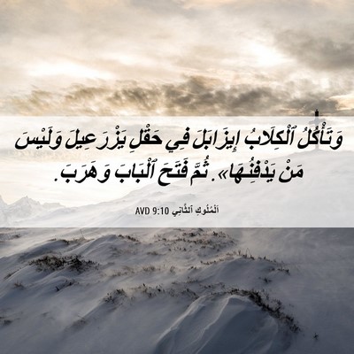Picture 06 - اَلْمُلُوكِ ٱلثَّانِي 9:10 AVD - وَتَأْكُلُ ٱلْكِلَابُ - Bible Verse Picture