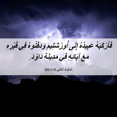 Picture 06 - اَلْمُلُوكِ ٱلثَّانِي 9:28 AVD - فَأَرْكَبَهُ عَبِيدُهُ - Bible Verse Picture