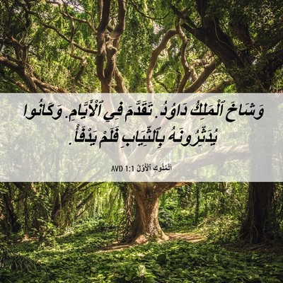 Picture 06 - اَلْمُلُوكِ ٱلْأَوَّلُ 1:1 AVD - وَشَاخَ ٱلْمَلِكُ دَاوُدُ. - Bible Verse Picture