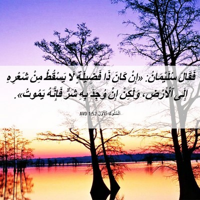 Picture 06 - اَلْمُلُوكِ ٱلْأَوَّلُ 1:52 AVD - فَقَالَ سُلَيْمَانُ: «إِنْ - Bible Verse Picture