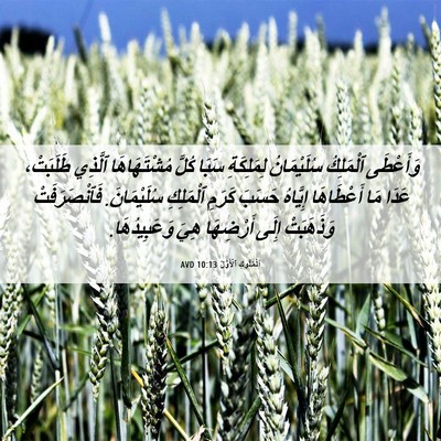Picture 06 - اَلْمُلُوكِ ٱلْأَوَّلُ 10:13 AVD - وَأَعْطَى ٱلْمَلِكُ - Bible Verse Picture
