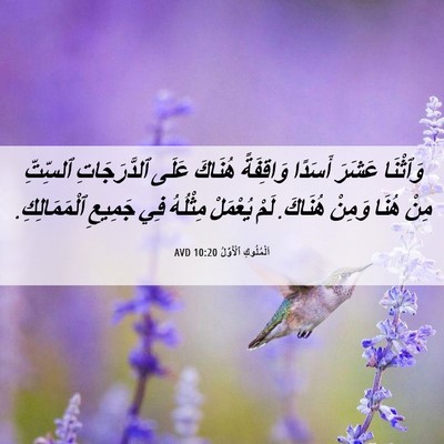 Picture 06 - اَلْمُلُوكِ ٱلْأَوَّلُ 10:20 AVD - وَٱثْنَا عَشَرَ أَسَدًا - Bible Verse Picture
