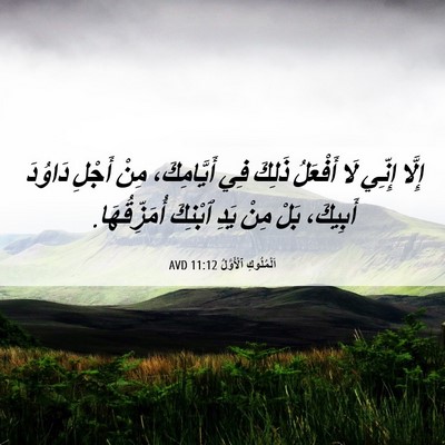 Picture 06 - اَلْمُلُوكِ ٱلْأَوَّلُ 11:12 AVD - إِلَّا إِنِّي لَا أَفْعَلُ - Bible Verse Picture