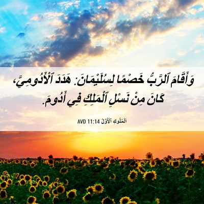 Picture 06 - اَلْمُلُوكِ ٱلْأَوَّلُ 11:14 AVD - وَأَقَامَ ٱلرَّبُّ - Bible Verse Picture