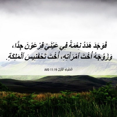 Picture 06 - اَلْمُلُوكِ ٱلْأَوَّلُ 11:19 AVD - فَوَجَدَ هَدَدُ نِعْمَةً - Bible Verse Picture