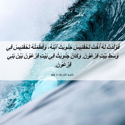Picture 06 - اَلْمُلُوكِ ٱلْأَوَّلُ 11:20 AVD - فَوَلَدَتْ لَهُ أُخْتُ - Bible Verse Picture