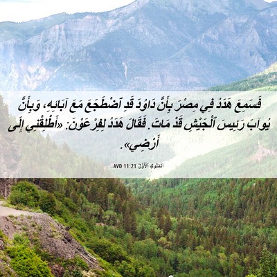 Picture 06 - اَلْمُلُوكِ ٱلْأَوَّلُ 11:21 AVD - فَسَمِعَ هَدَدُ فِي مِصْرَ - Bible Verse Picture