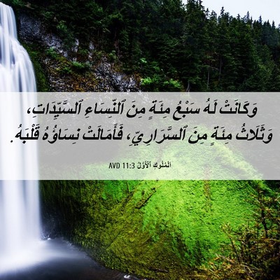 Picture 06 - اَلْمُلُوكِ ٱلْأَوَّلُ 11:3 AVD - وَكَانَتْ لَهُ سَبْعُ - Bible Verse Picture