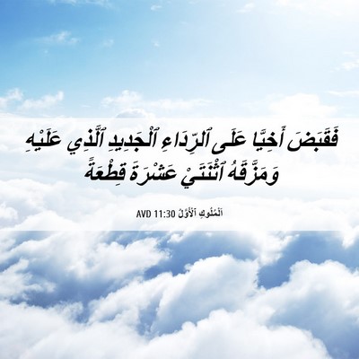 Picture 06 - اَلْمُلُوكِ ٱلْأَوَّلُ 11:30 AVD - فَقَبَضَ أَخِيَّا عَلَى - Bible Verse Picture