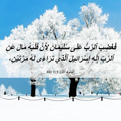 Picture 06 - اَلْمُلُوكِ ٱلْأَوَّلُ 11:9 AVD - فَغَضِبَ ٱلرَّبُّ عَلَى - Bible Verse Picture