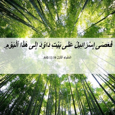Picture 06 - اَلْمُلُوكِ ٱلْأَوَّلُ 12:19 AVD - فَعَصَى إِسْرَائِيلُ - Bible Verse Picture
