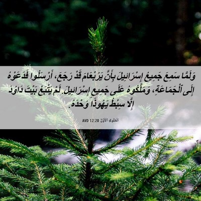 Picture 06 - اَلْمُلُوكِ ٱلْأَوَّلُ 12:20 AVD - وَلَمَّا سَمِعَ جَمِيعُ - Bible Verse Picture