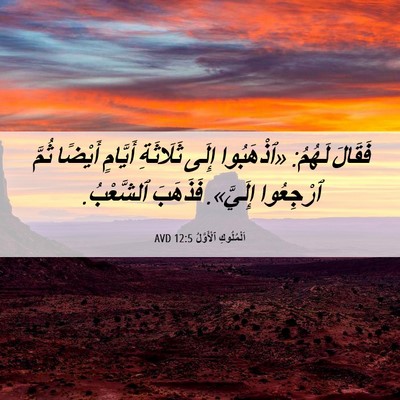 Picture 06 - اَلْمُلُوكِ ٱلْأَوَّلُ 12:5 AVD - فَقَالَ لَهُمُ: «ٱذْهَبُوا - Bible Verse Picture