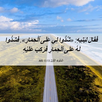 Picture 06 - اَلْمُلُوكِ ٱلْأَوَّلُ 13:13 AVD - فَقَالَ لِبَنِيهِ: - Bible Verse Picture