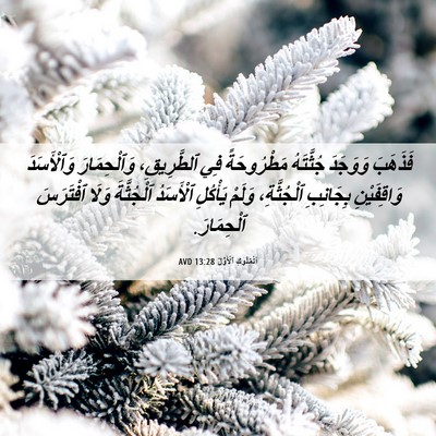 Picture 06 - اَلْمُلُوكِ ٱلْأَوَّلُ 13:28 AVD - فَذَهَبَ وَوَجَدَ - Bible Verse Picture