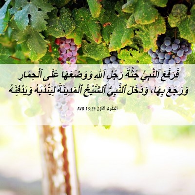 Picture 06 - اَلْمُلُوكِ ٱلْأَوَّلُ 13:29 AVD - فَرَفَعَ ٱلنَّبِيُّ - Bible Verse Picture