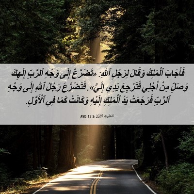Picture 06 - اَلْمُلُوكِ ٱلْأَوَّلُ 13:6 AVD - فَأَجَابَ ٱلْمَلِكُ - Bible Verse Picture
