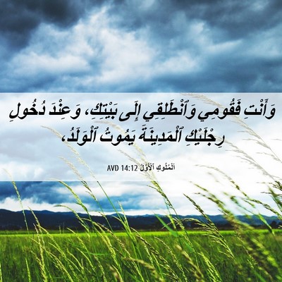 Picture 06 - اَلْمُلُوكِ ٱلْأَوَّلُ 14:12 AVD - وَأَنْتِ فَقُومِي - Bible Verse Picture